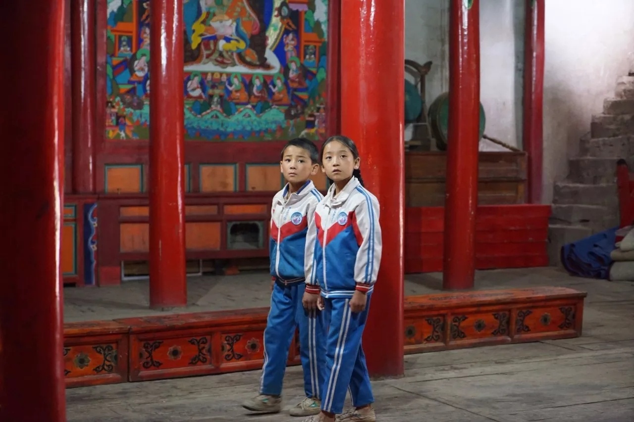 上影节电影完整版,上影节新片