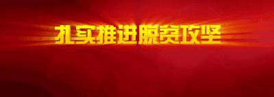 2018世界杯彩票官方版,世界杯预选赛购彩软件