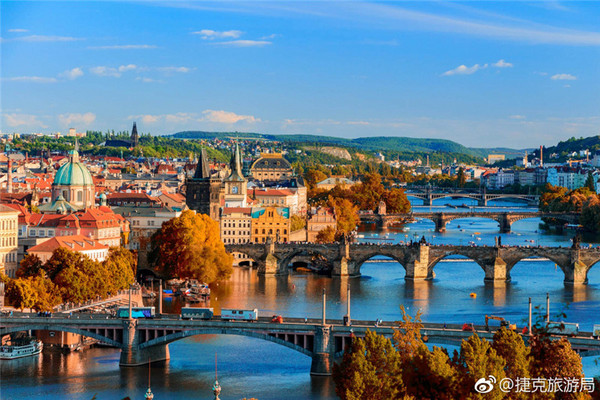 会茶文化的老外,外国茶文化