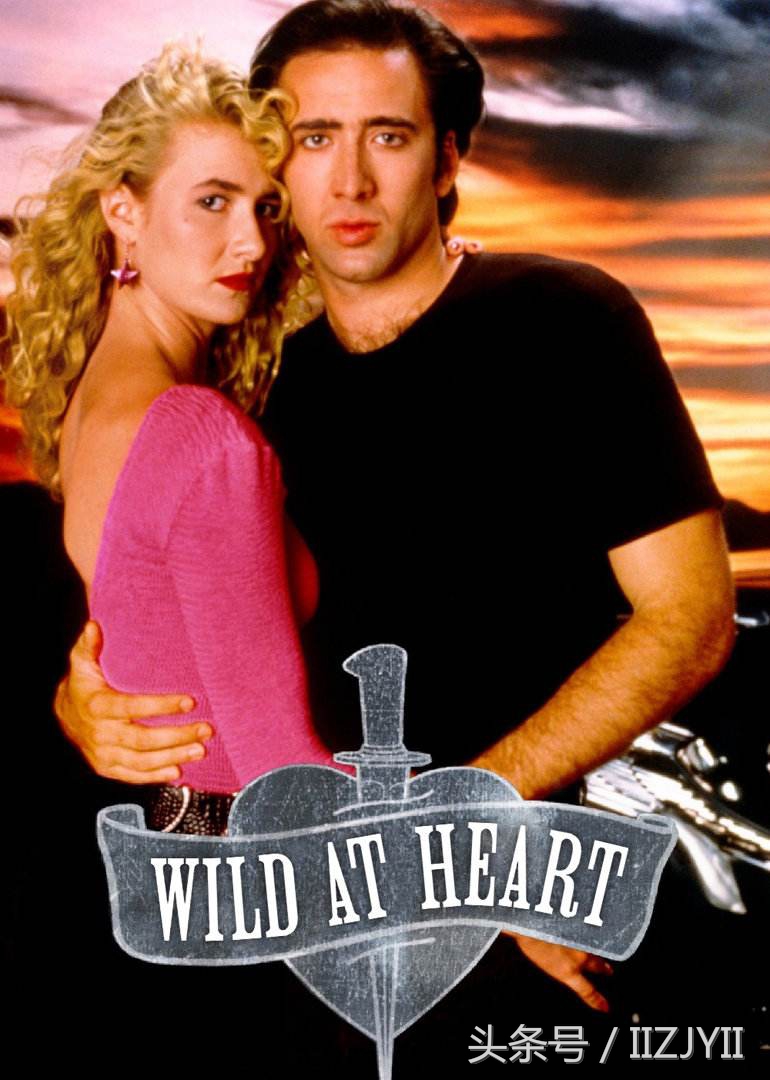 尼古拉斯凯奇演过什么反派,尼古拉斯凯奇的电影坏中尉