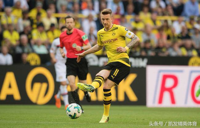 守到花开见月明!小火箭错过两届大赛终于进军世界杯