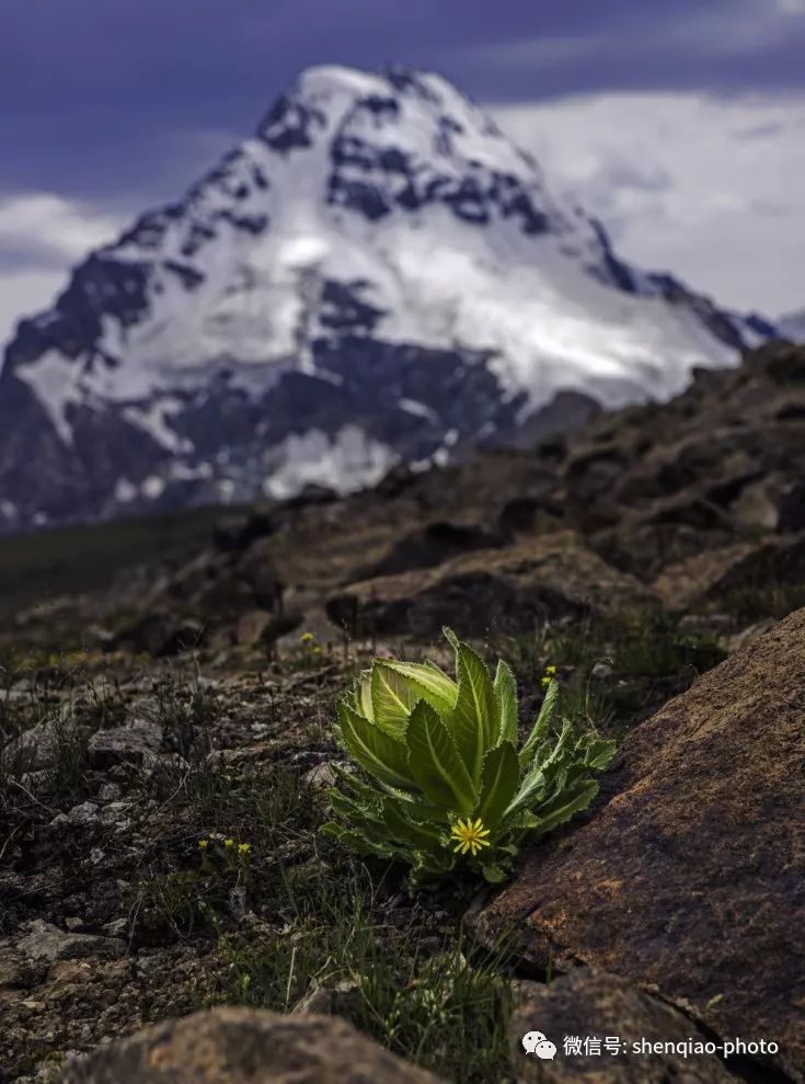 博格达峰的神山是什么,新疆第一神山博格达峰