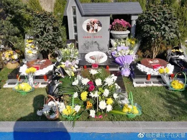 莫焕晶二审为什么维持原判,莫焕晶被判死刑后上诉申诉