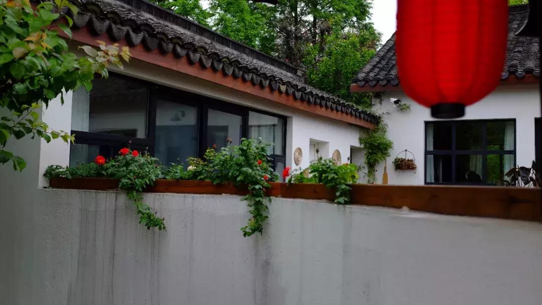 南京不老村，这个画得了插画、种得了花的萌大叔，亲自打造一个家