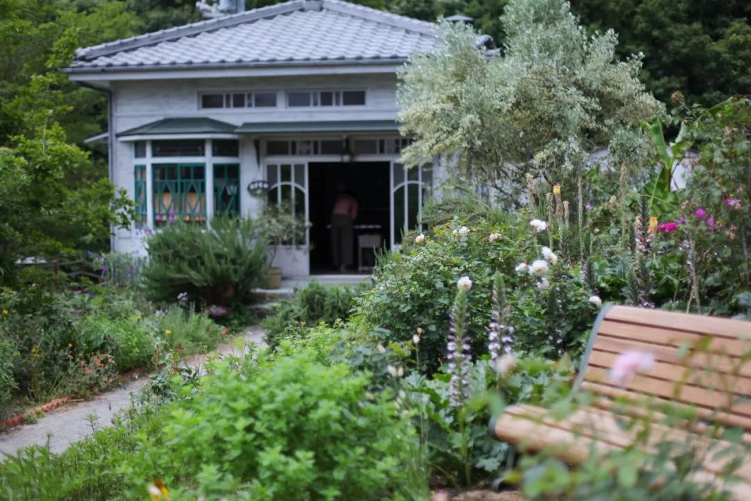 日本的这个地方，很少有中国游客，超级文艺治愈系！