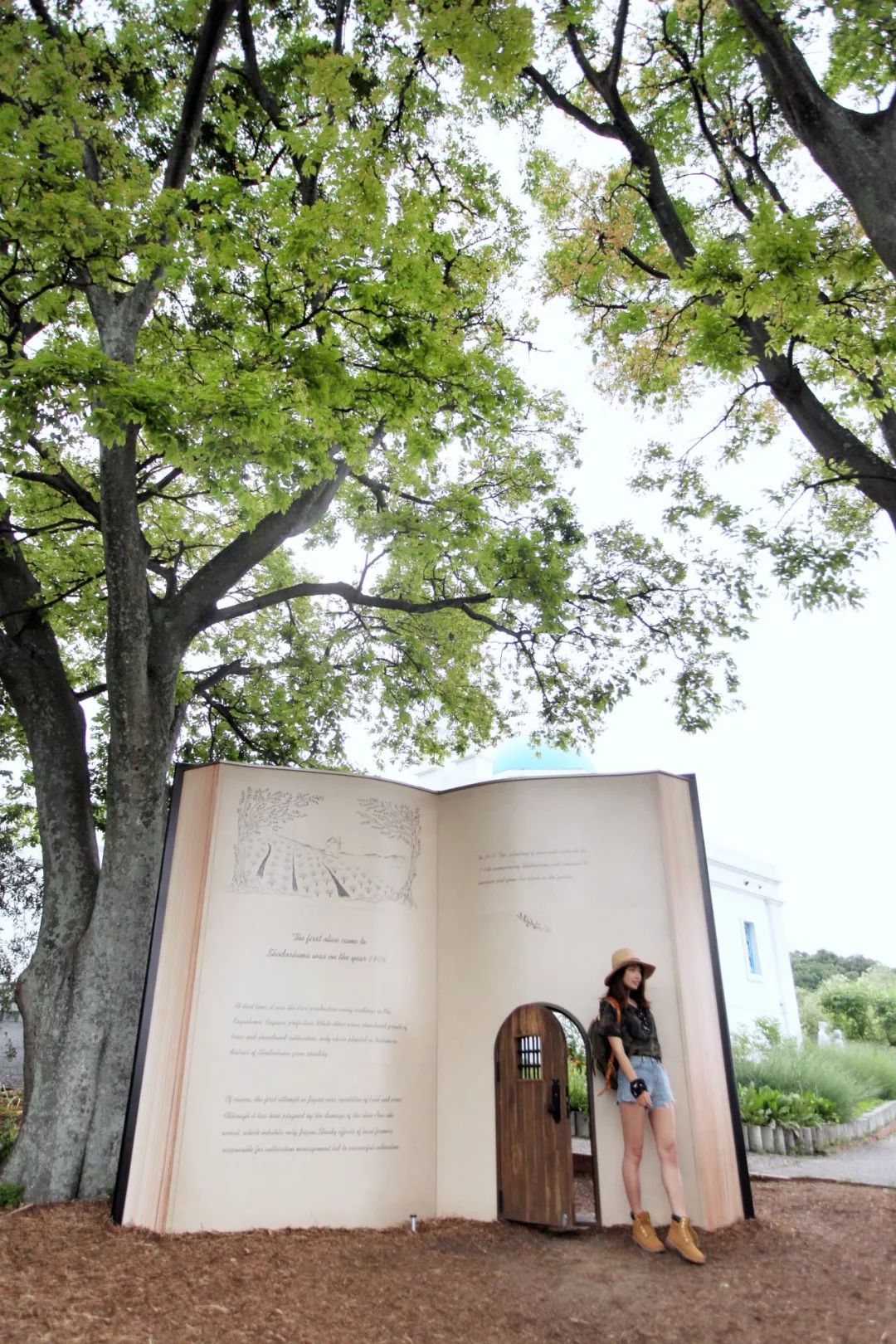 日本的哪个地方中国人不能去,日本什么地方很多中国人