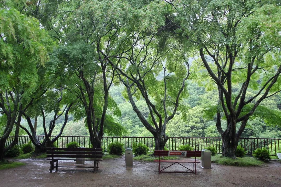 日本的这个地方，很少有中国游客，超级文艺治愈系！