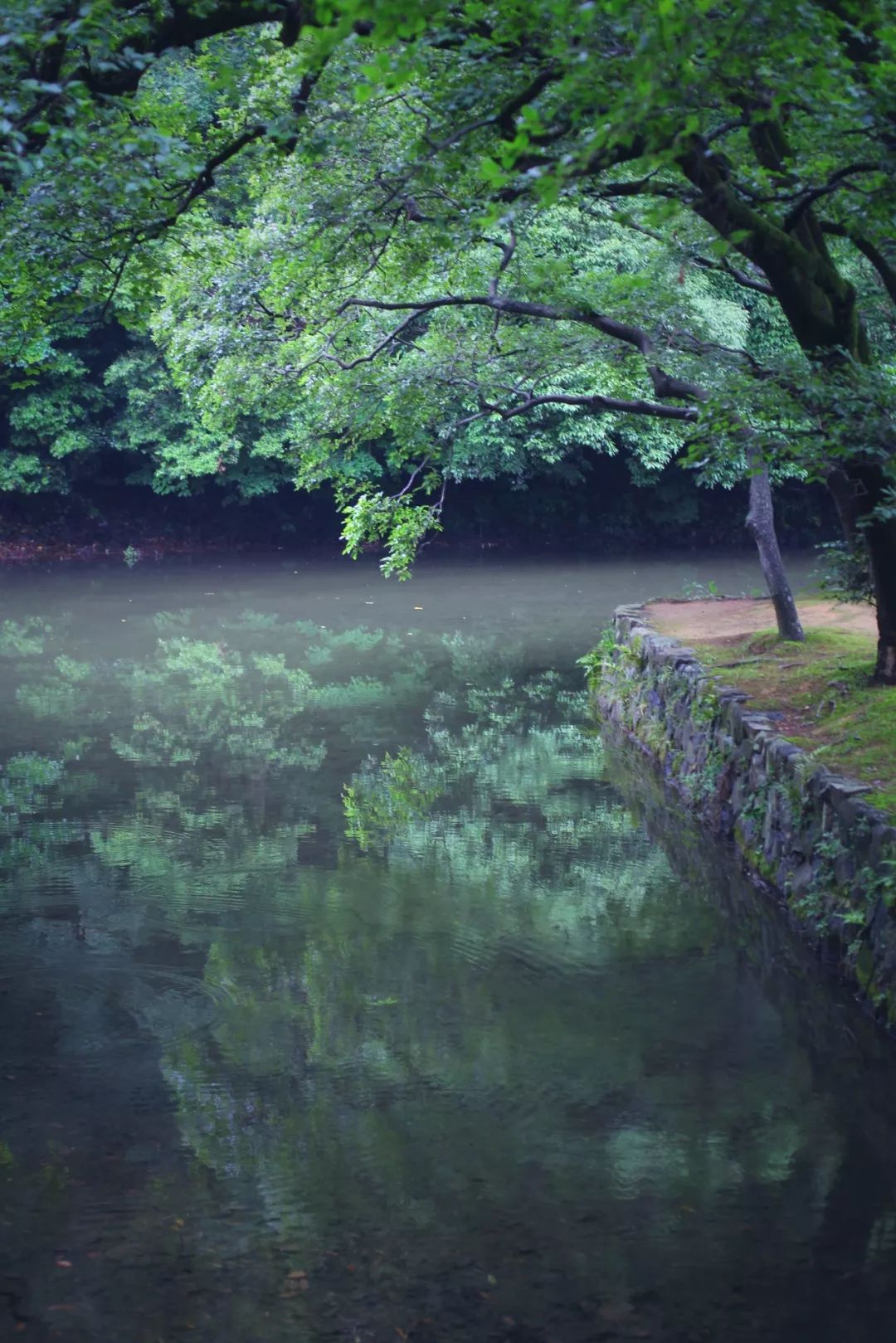五天四晚适合去哪玩,适合五天四夜清静的旅行