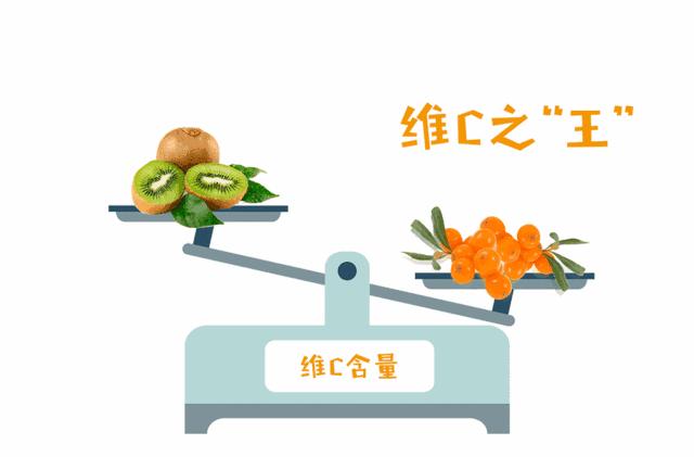 coco新出饮品,coco出的最好饮料