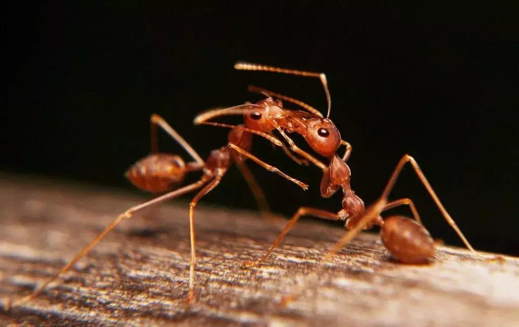 夏日有神药在手，妈妈再也不怕你痒痒