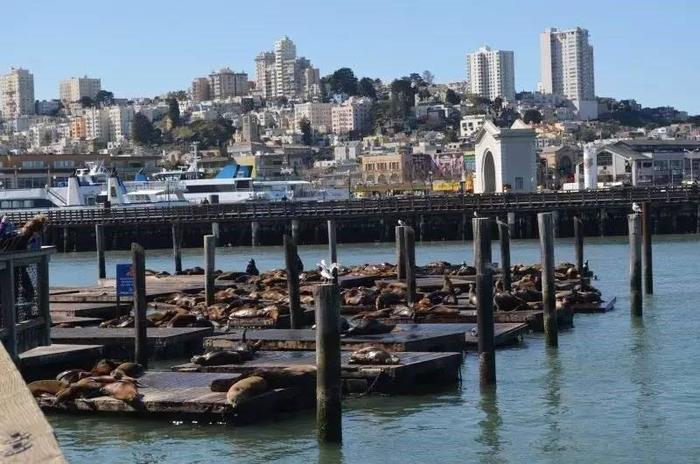 美国louis是哪里,美国有哪些专栏