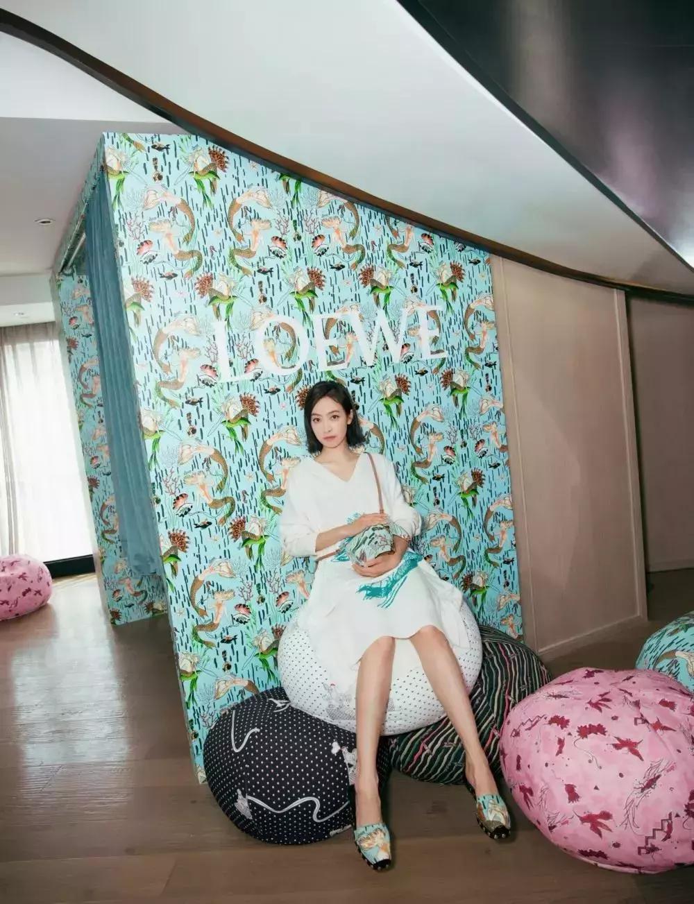 loewe同款包,loewe小象包能装吗