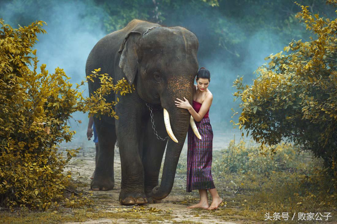 现在去泰国人多吗,现在去泰国玩的人多吗