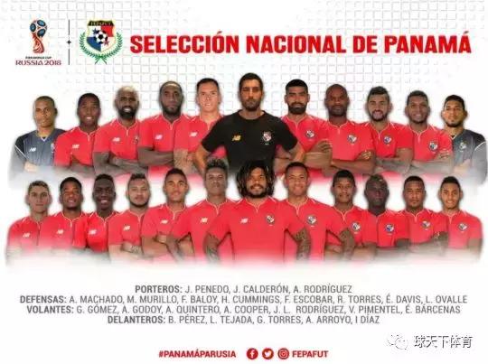 俄罗斯世界杯32强分布图,俄罗斯世界杯巴西名单