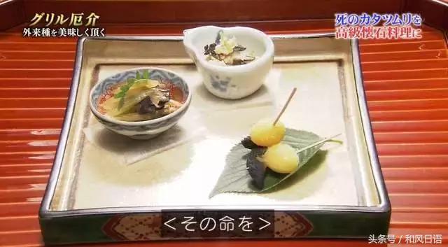 摸一下可能会死？！这个入侵日本的外来物种好可怕！