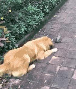 安慰自己不生气的诗,关于不要生气的诗