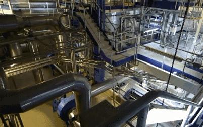 中国版a2奶粉是正品吗,a2国行版奶粉有假的吗