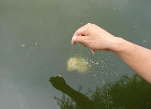 海竿爆炸钩钓鲢鳙技巧,钓鲢鳙海竿爆炸钩线组教学