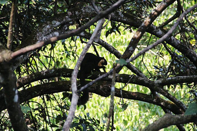 最美樱花温泉,樱花谷泡温泉价目表