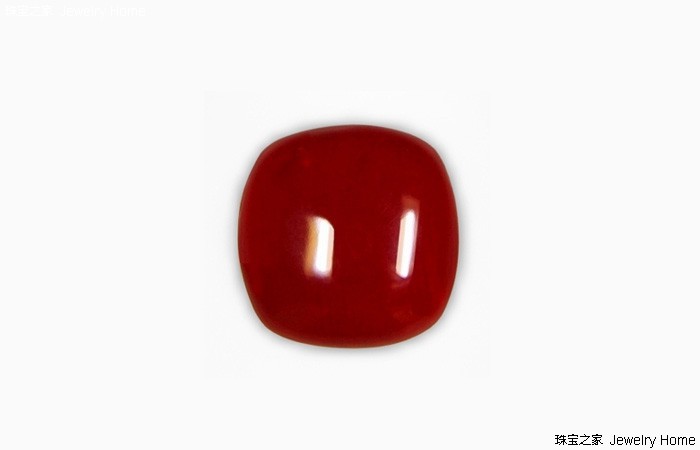 红珊瑚的魅力有多大,红珊瑚的魅力有多强