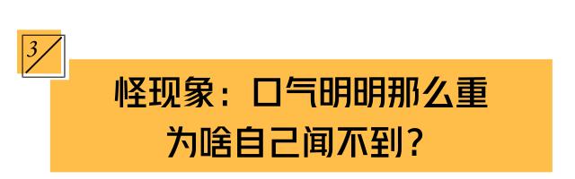为啥晨起嘴巴臭臭的，自己却闻不到？5个妙招，让你口气清新