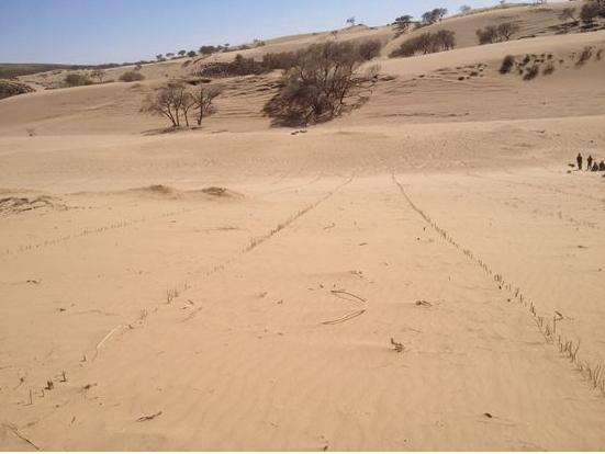 赵丽颖林更新《楚乔传》，赵丽颖被狼追杀，景点原来是这里！