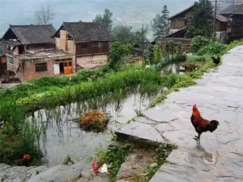 村干部如何应对村民无理要求,驻村干部怎么对待群众