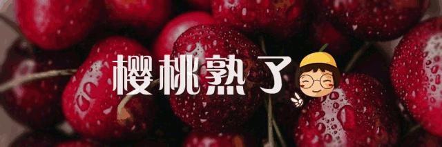 甘肃省三支一扶各地区名额,2018年甘肃省三支一扶分配指标