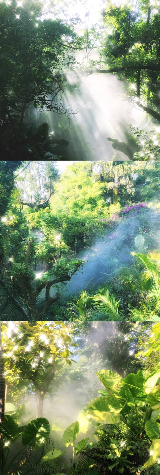 厦门小清新之旅全攻略,厦门周末夏日游