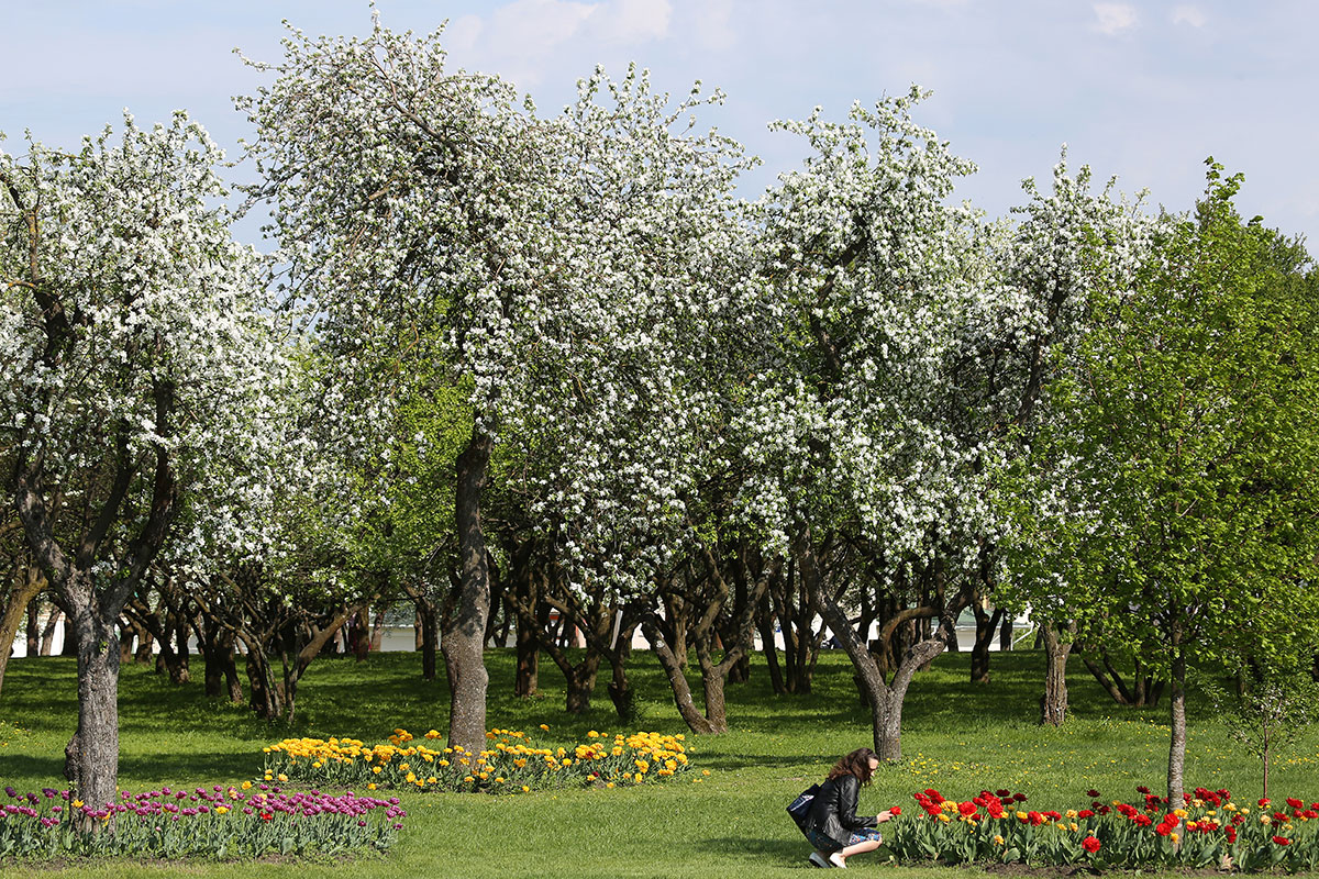 不一样的高温，丹麦平均气温已达到了15℃，超过1889年13.8℃纪录