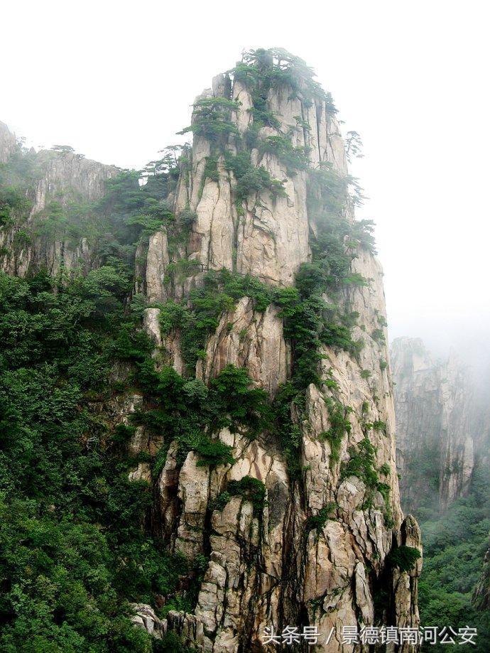 游记｜雾中黄山做梦都想去的人间仙境