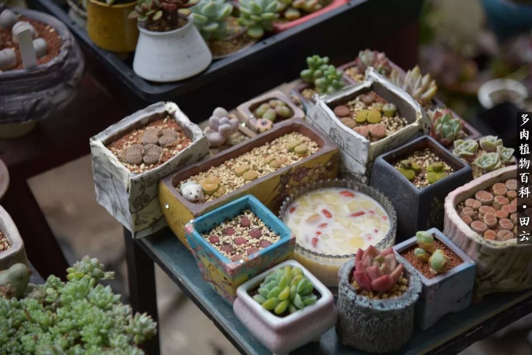 推开世界的门和自己和解,推开世界的门你所看到的风景