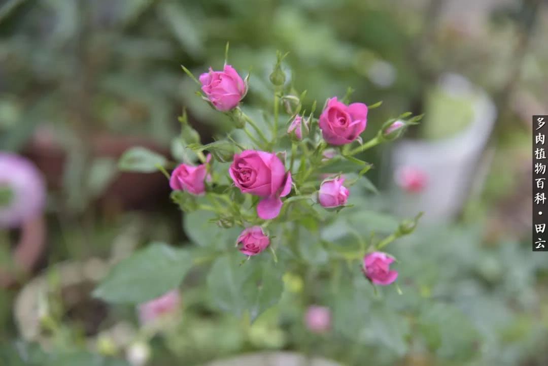 推开世界的门和自己和解,推开世界的门你所看到的风景