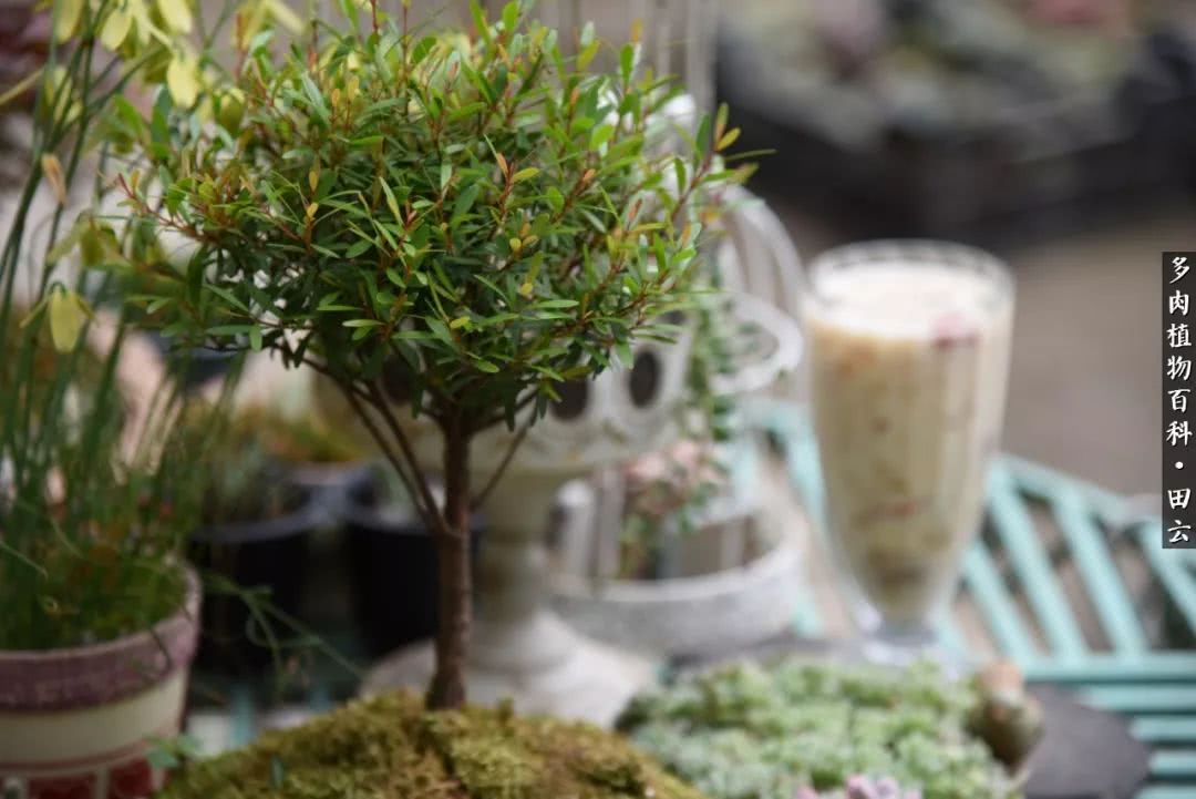 推开世界的门和自己和解,推开世界的门你所看到的风景