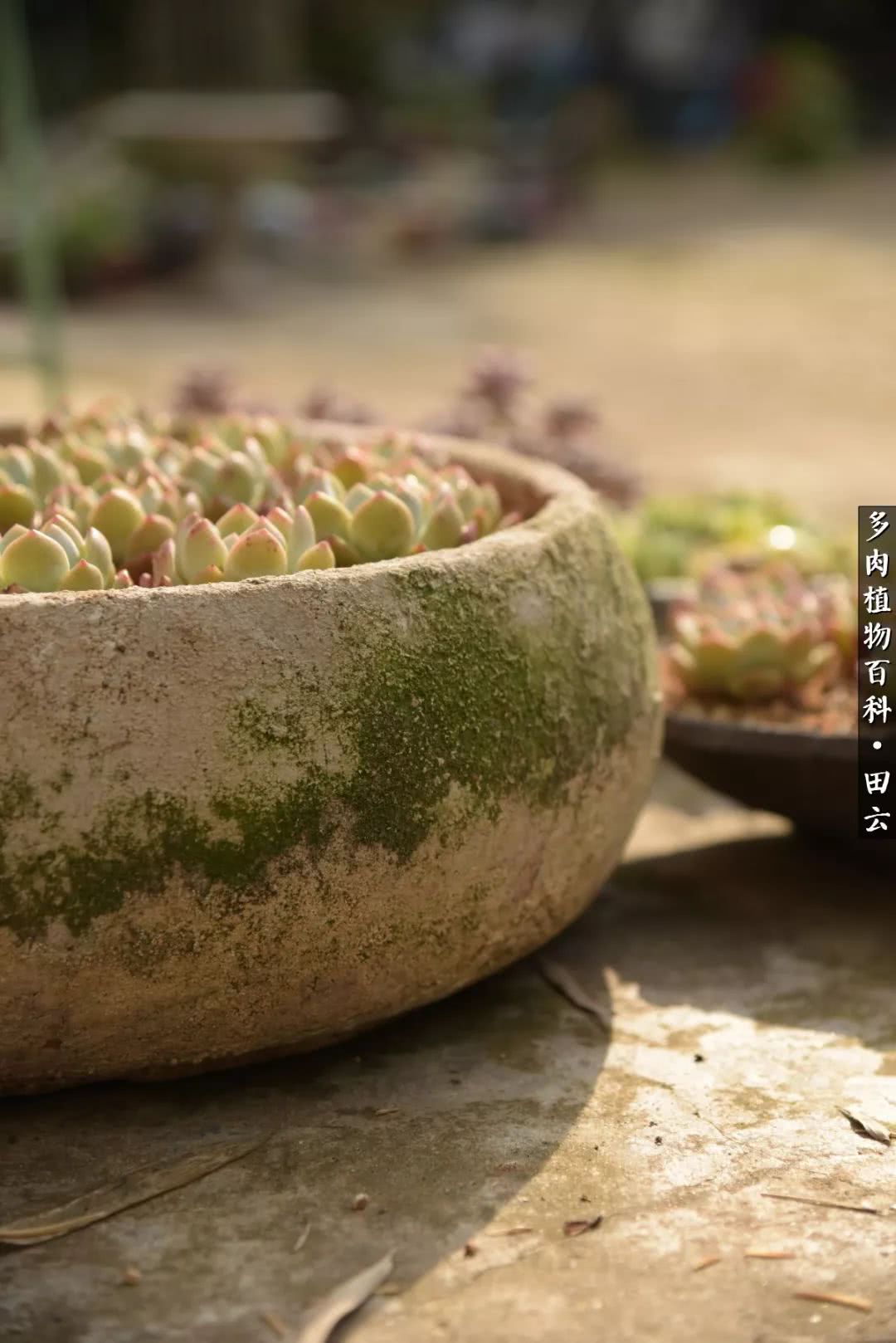 推开世界的门和自己和解,推开世界的门你所看到的风景