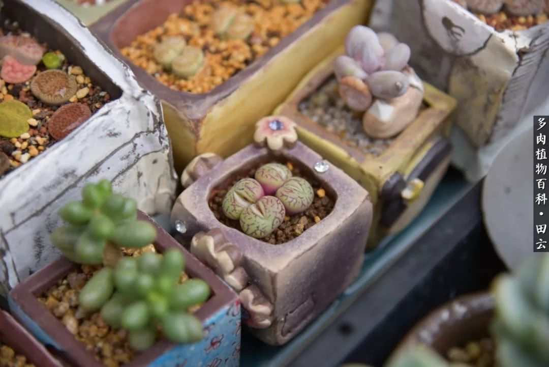 推开世界的门和自己和解,推开世界的门你所看到的风景