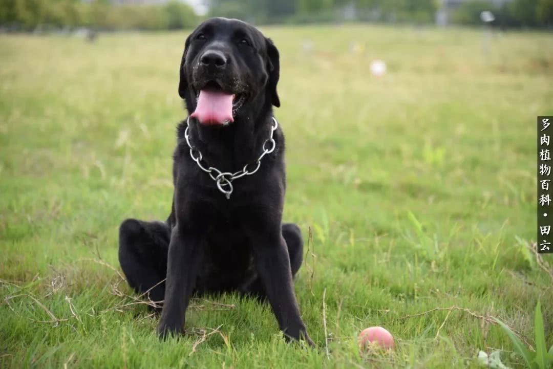 推开世界的门和自己和解,推开世界的门你所看到的风景