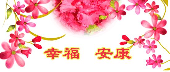 送给我思念的老同学,老同学我想你原版