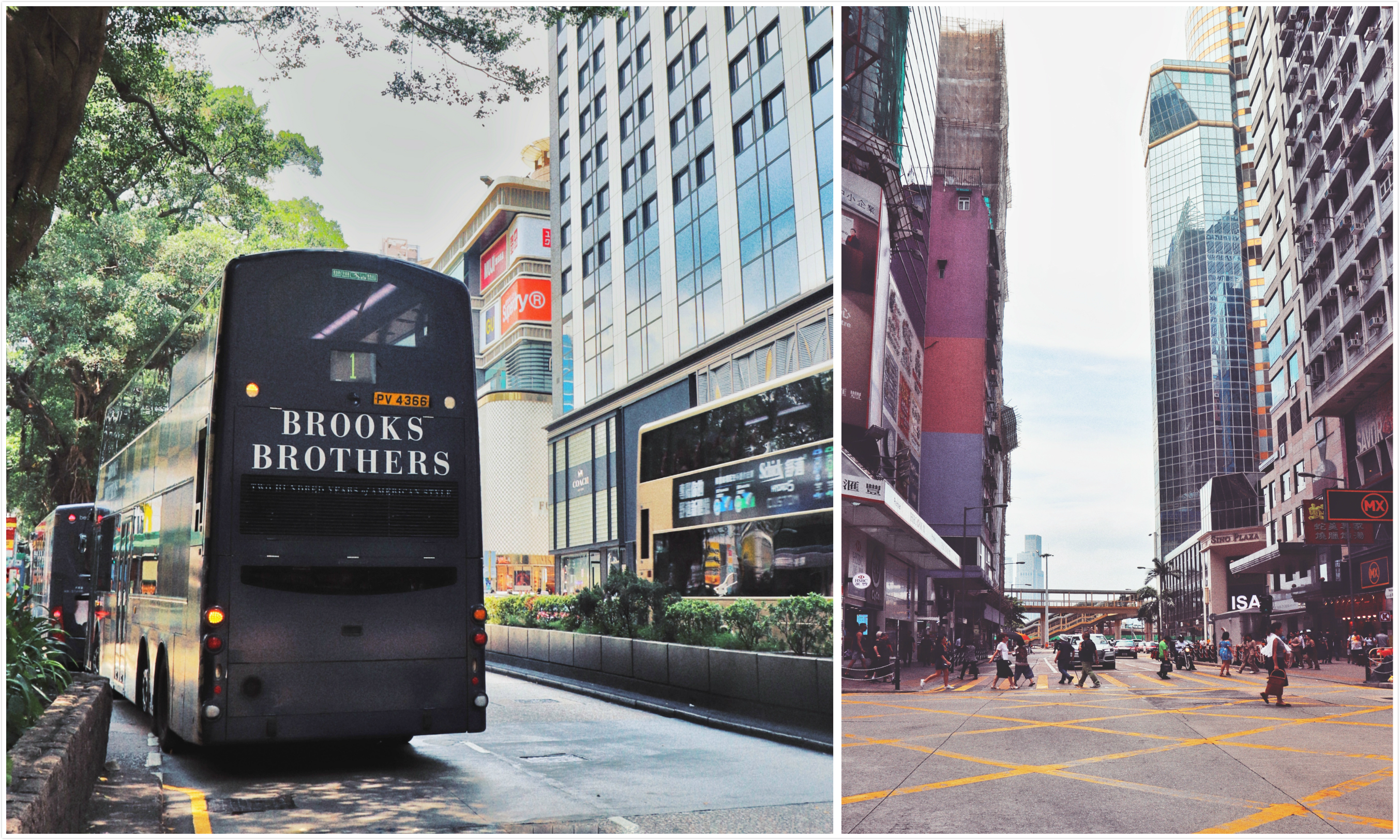 24小时香港过关攻略,香港可以这样玩攻略篇