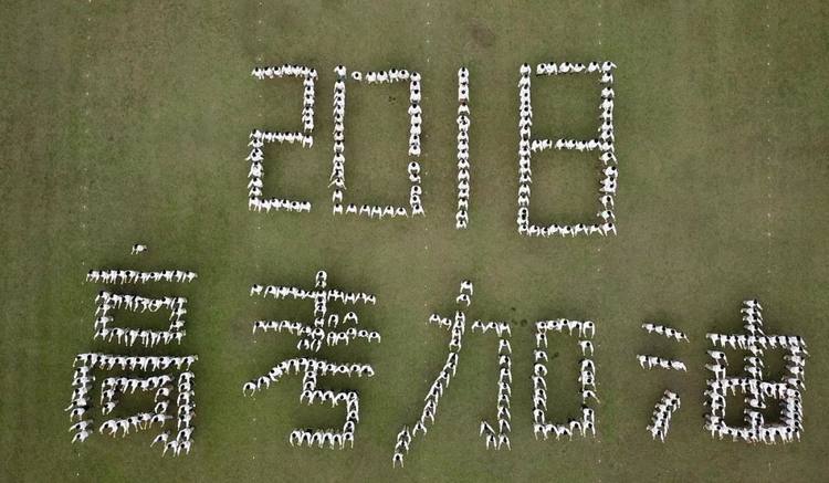 那些年一起追的梦翻唱,那些年一起追的经典电视剧