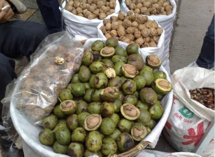 四川正宗核桃,四川特产核桃大全