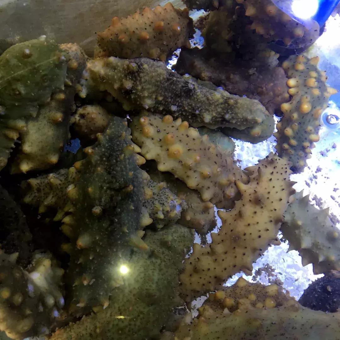 大泉沟海鲜美食街,大泉沟美食街7号