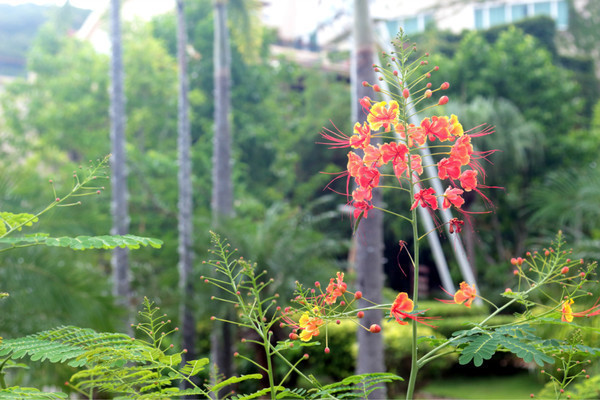 亚龙湾休闲度假康养旅游,亚龙湾老人休闲度假