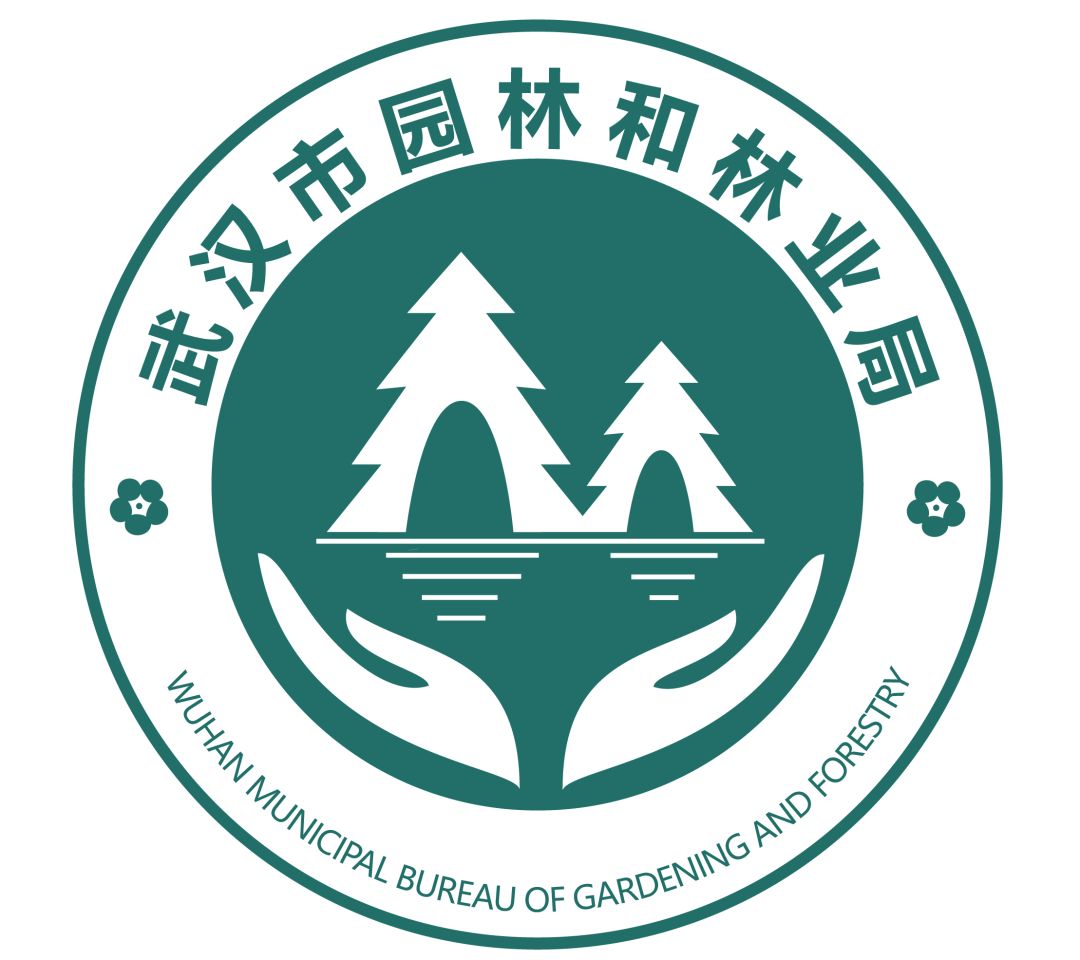 体育中心看展菊,运动公园菊展