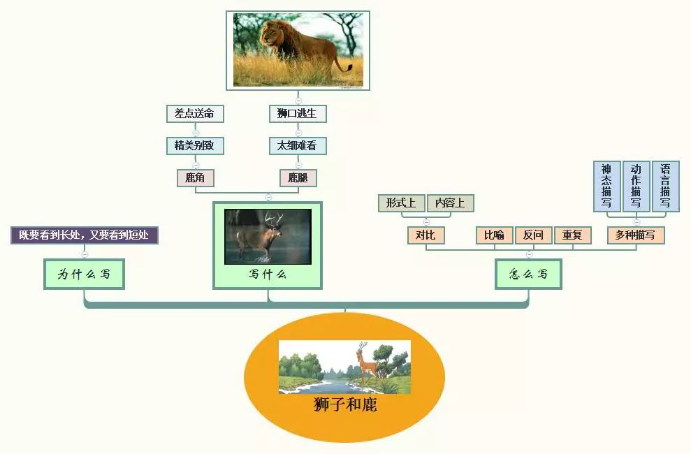 三年级语文1-4单元思维导图大全,三年级语文第一单元思维导图8k纸