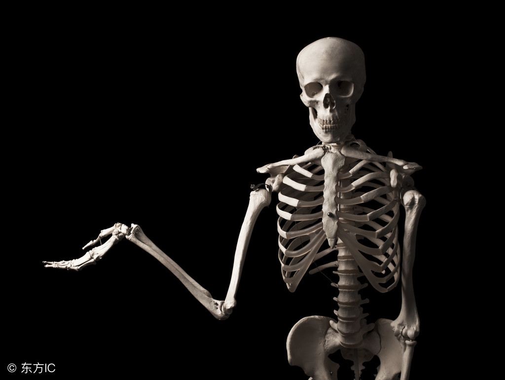 10个趣味冷知识会让人上瘾的糖,只有人类会得痔疮吗