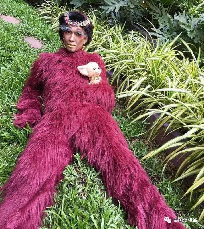 神奇！泰国网红“蚂蚁夫人”教大家如何对付恶犬，一般人还真学不来