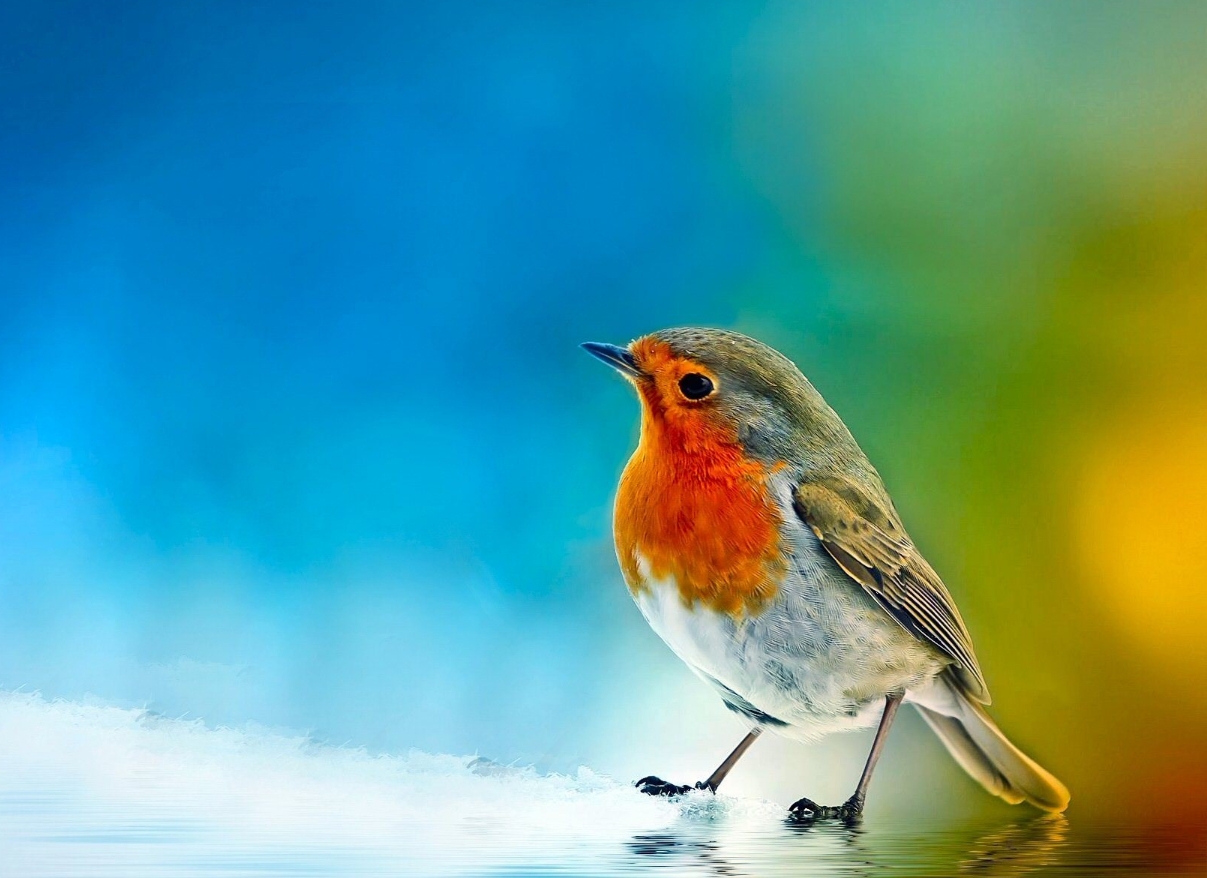 钱是好东西验证了人心见证了人性,钱是好东西男声完整版