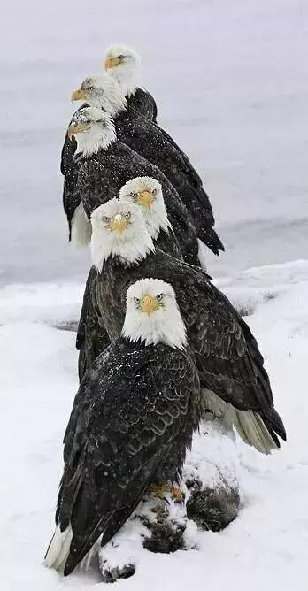 刚拍的你从未见过的集体照,史上最全的集体照