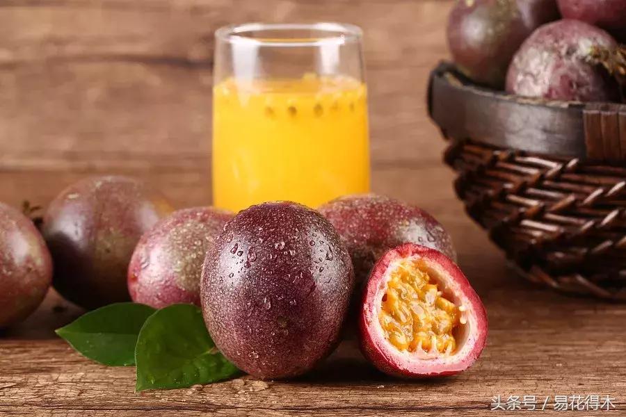 百香果小苗换大杯如何养护,百香果垂帘式栽培方法